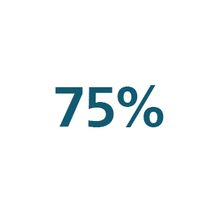 Icona 75%